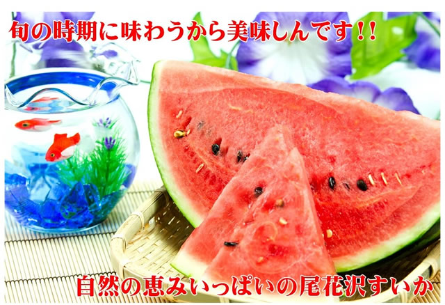山形県産 尾花沢すいか
