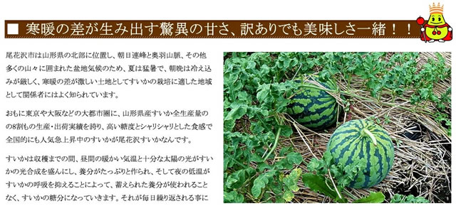 山形県産 尾花沢すいか