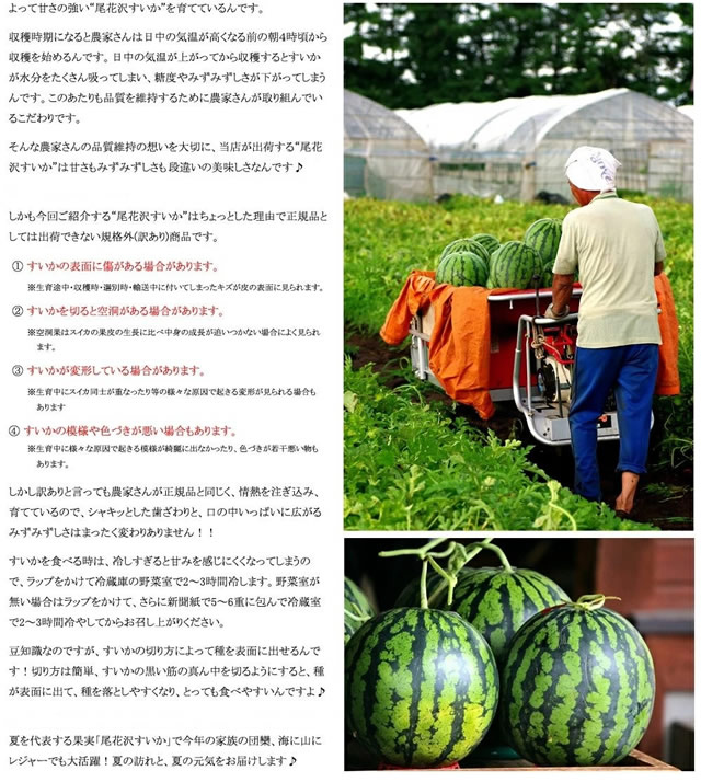 山形県産 尾花沢すいか