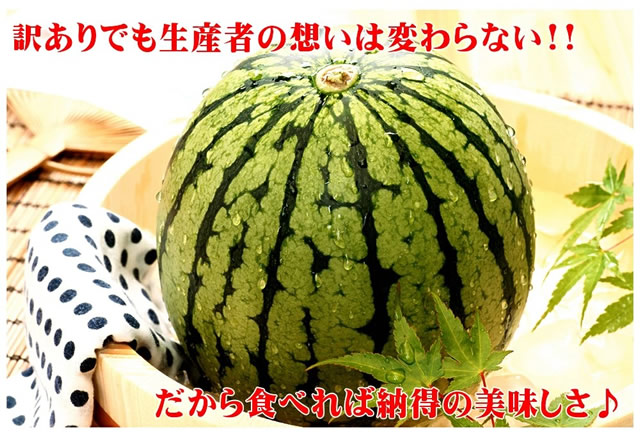 山形県産 尾花沢すいか