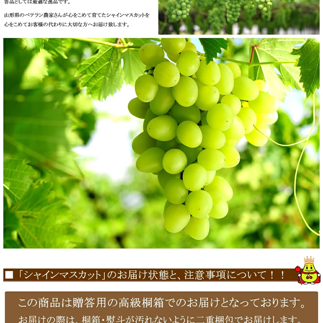 山形県産 ぶどう シャインマスカット