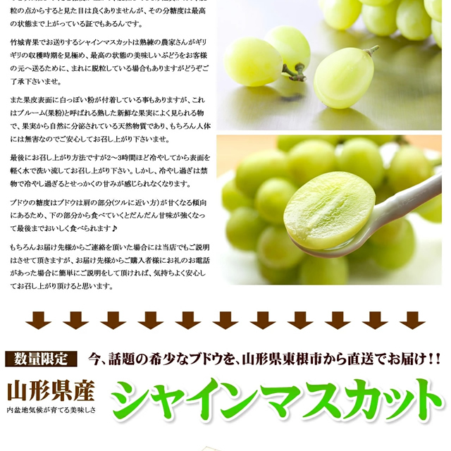山形県産 ぶどう シャインマスカット
