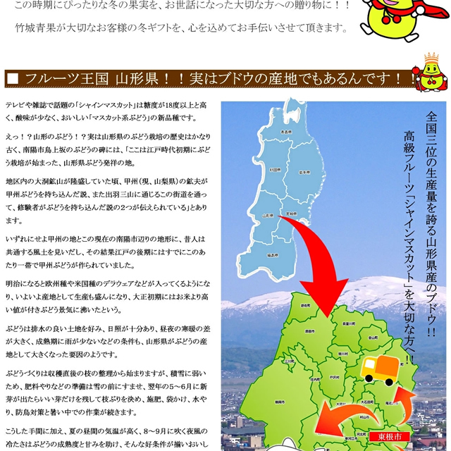 山形県産 ぶどう シャインマスカット