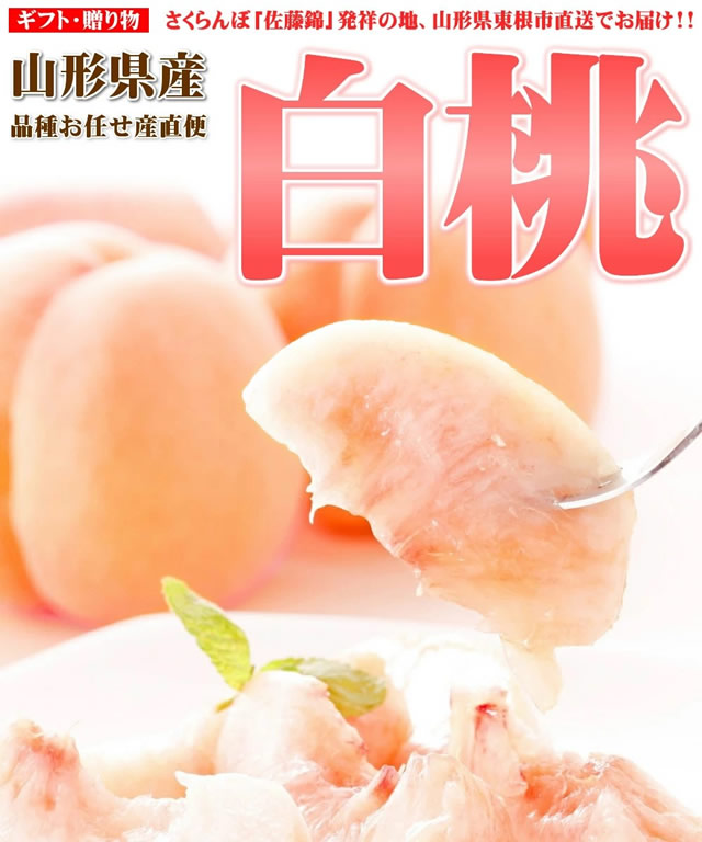 山形県産 白桃