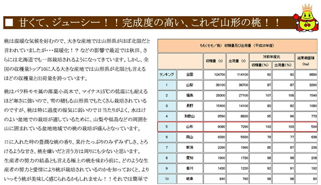 山形県産 白桃
