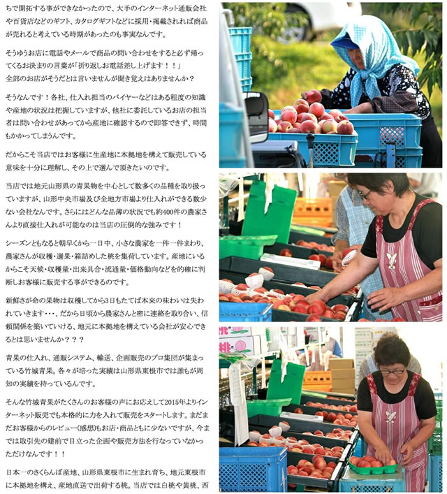 山形県産 白桃