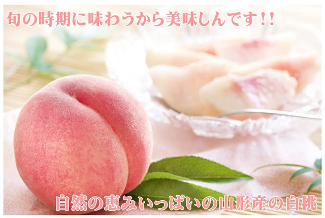 山形県産 白桃