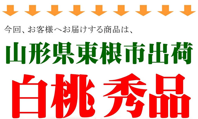 山形県産 白桃