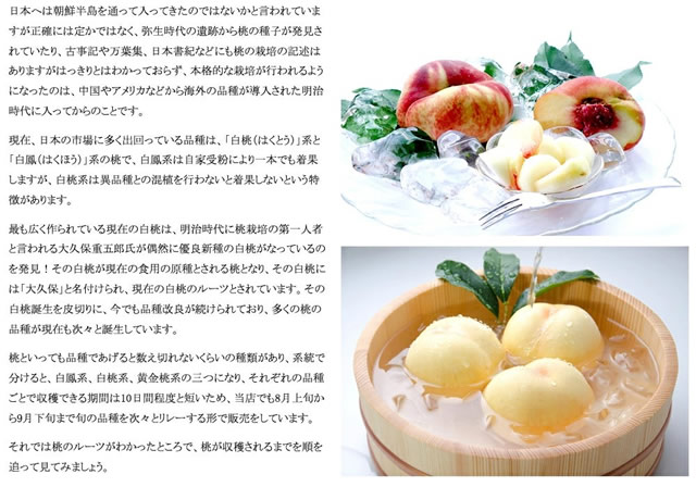 山形県産 白桃