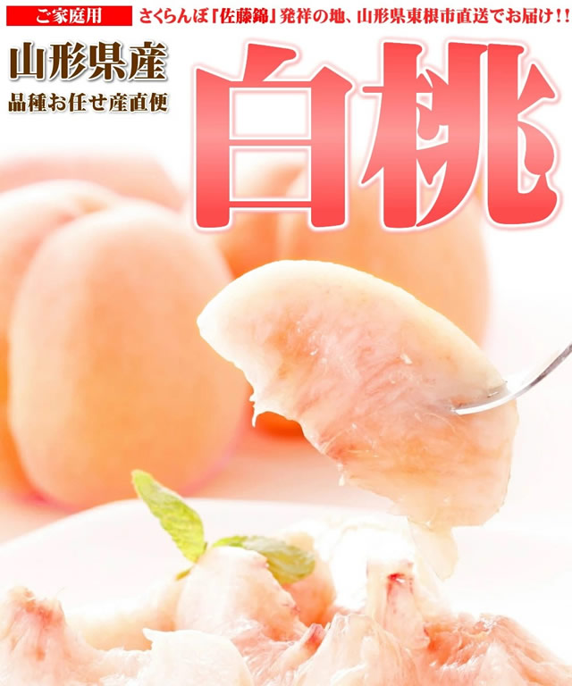 山形県産 白桃