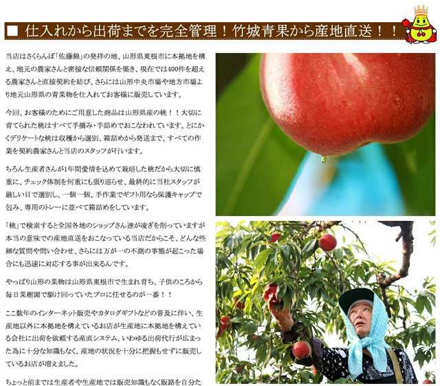 山形県産 白桃