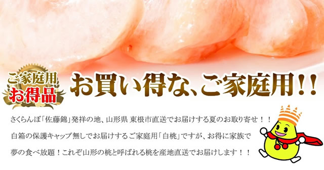 山形県産 白桃