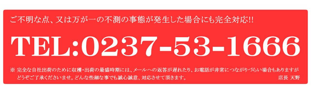 山形県産 白桃