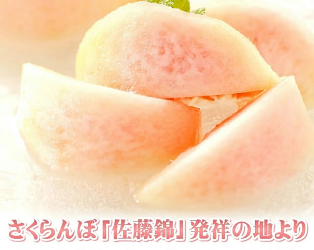 山形県産 白桃