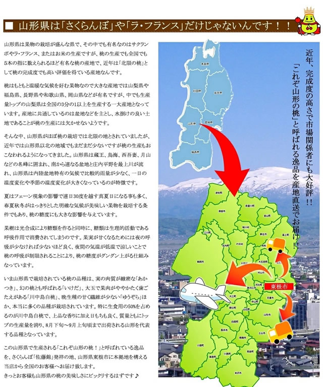 山形県産 白桃