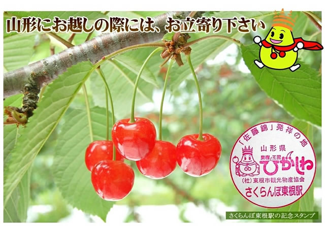 山形県産 白桃