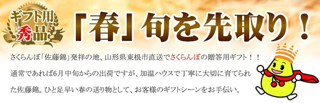 山形県産 さくらんぼ 佐藤錦
