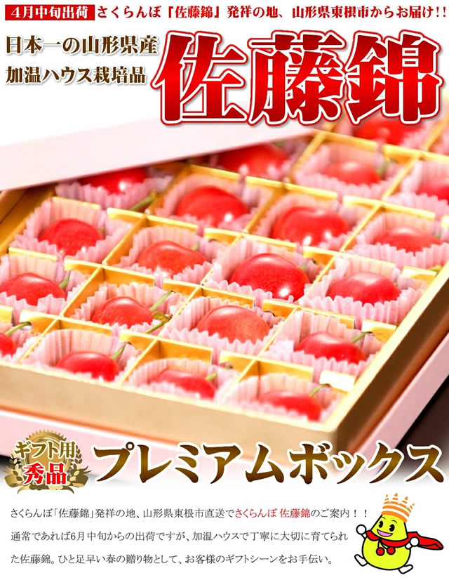 山形県産 さくらんぼ 佐藤錦