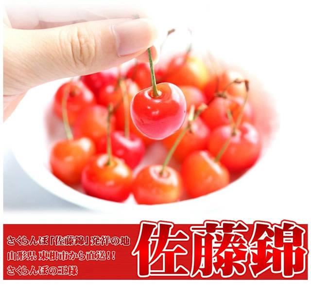 山形県産 さくらんぼ 佐藤錦