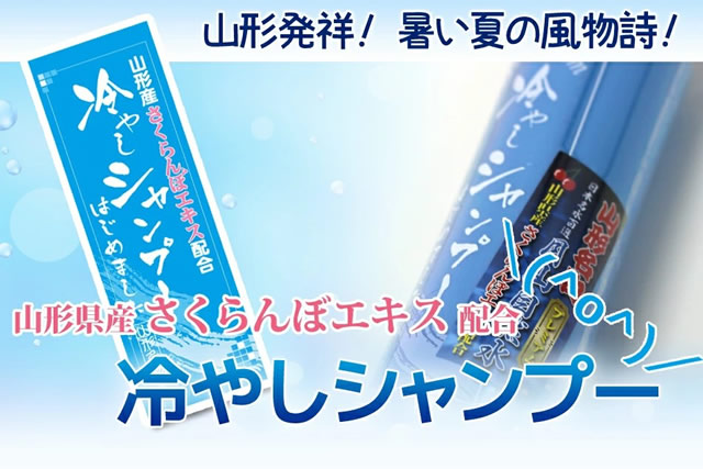 山形名物 元祖「冷やしトリートメント」3本セット