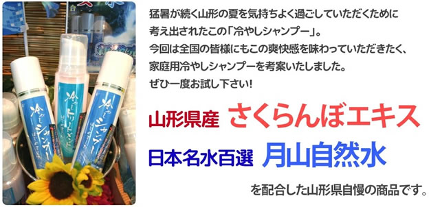 山形名物 元祖「冷やしトリートメント」3本セット