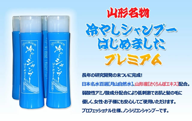 山形名物 元祖「冷やしトリートメント」3本セット