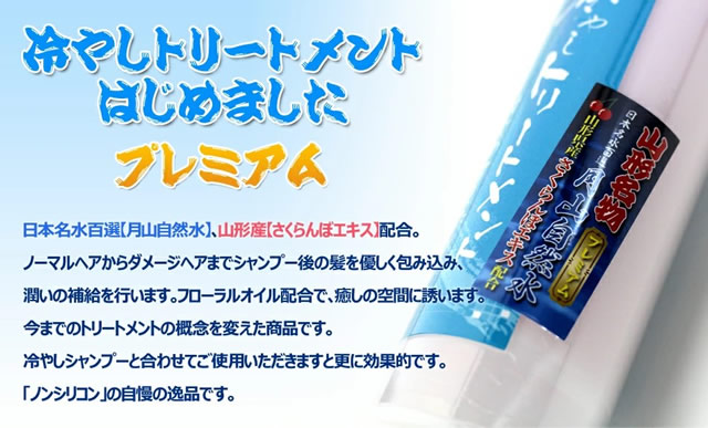 山形名物 元祖「冷やしトリートメント」3本セット