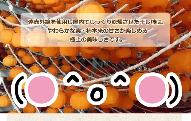 山形県産 庄内干し柿「柿の詩」