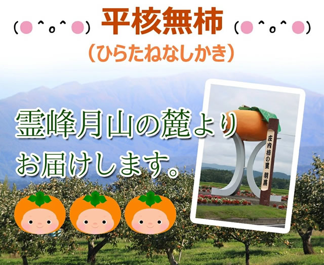 山形県産 庄内干し柿「柿の詩」