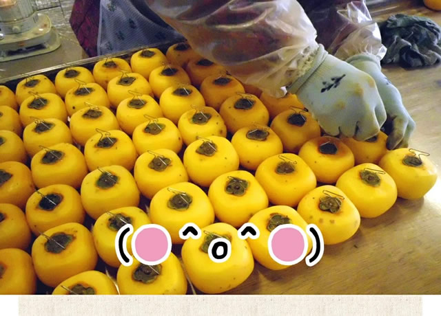 山形県産 庄内干し柿「柿の詩」