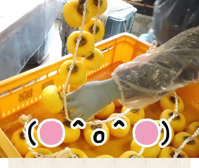 山形県産 庄内干し柿「柿の詩」