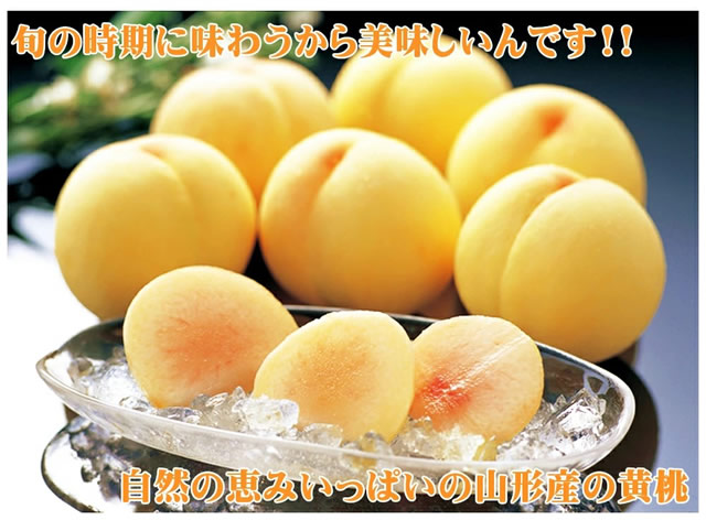 山形県産 黄桃