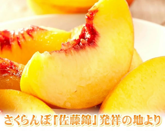 山形県産 黄桃