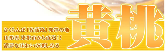 山形県産 黄桃