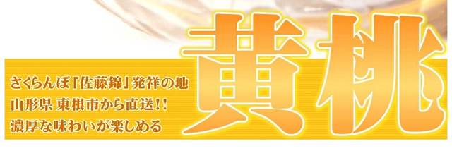 山形県産 黄桃