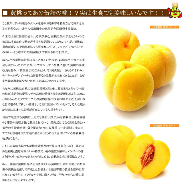 山形県産 黄桃