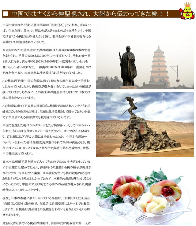 山形県産 黄桃
