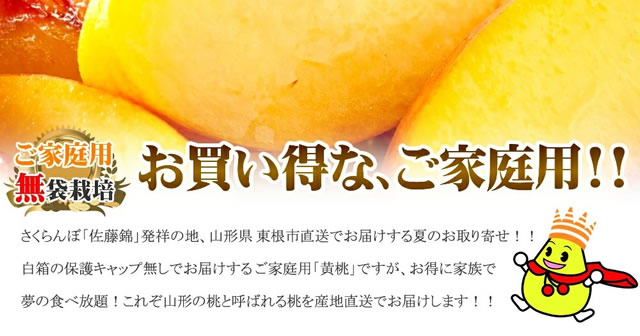 山形県産 黄桃