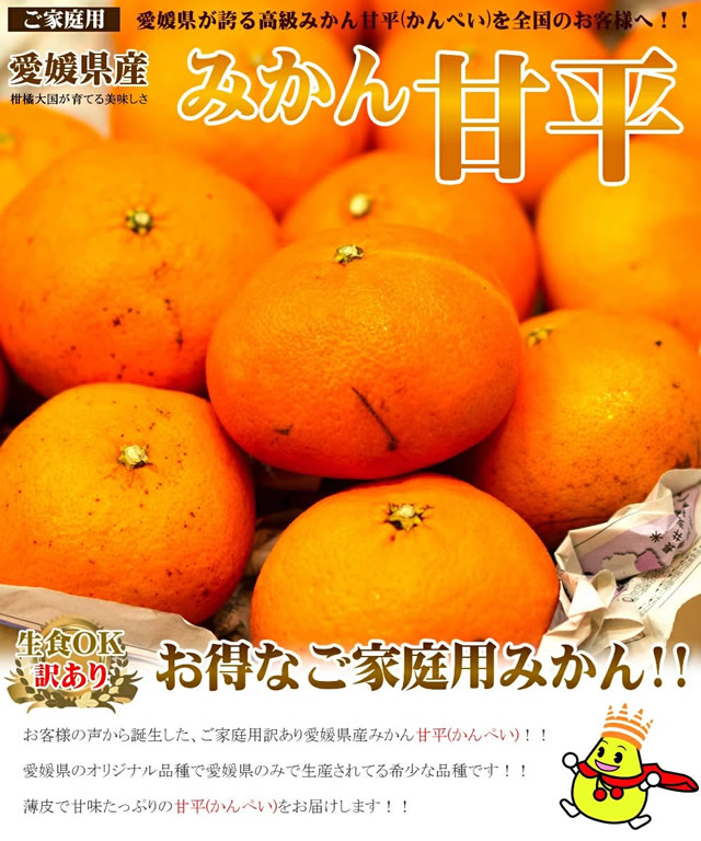 愛媛県産 ご家庭用 みかん 甘平(かんぺい)