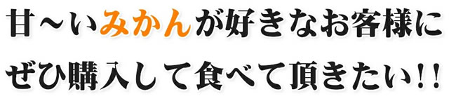 愛媛県産 ご家庭用 みかん 甘平(かんぺい)