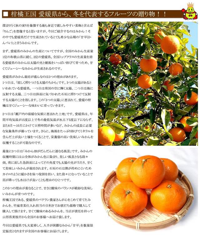 愛媛県産 ご家庭用 みかん 甘平(かんぺい)