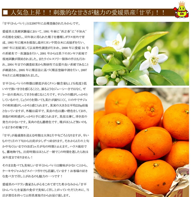 愛媛県産 ご家庭用 みかん 甘平(かんぺい)