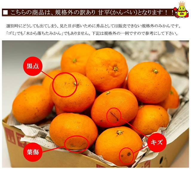 愛媛県産 ご家庭用 みかん 甘平(かんぺい)