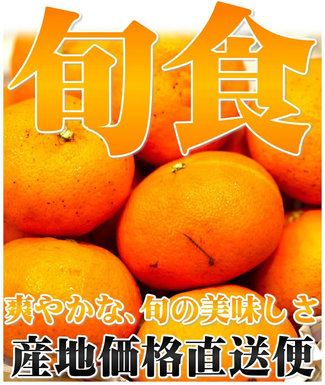 愛媛県産 ご家庭用 みかん 甘平(かんぺい)