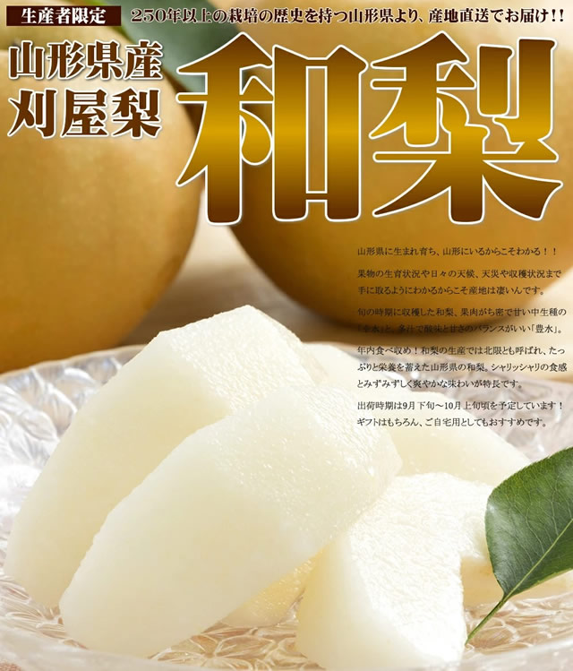 山形県産 刈屋梨(豊水)