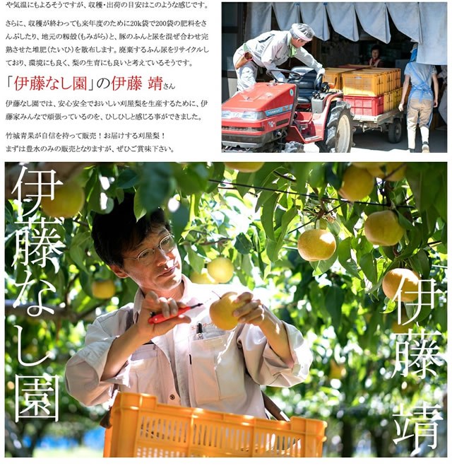 山形県産 刈屋梨(豊水)