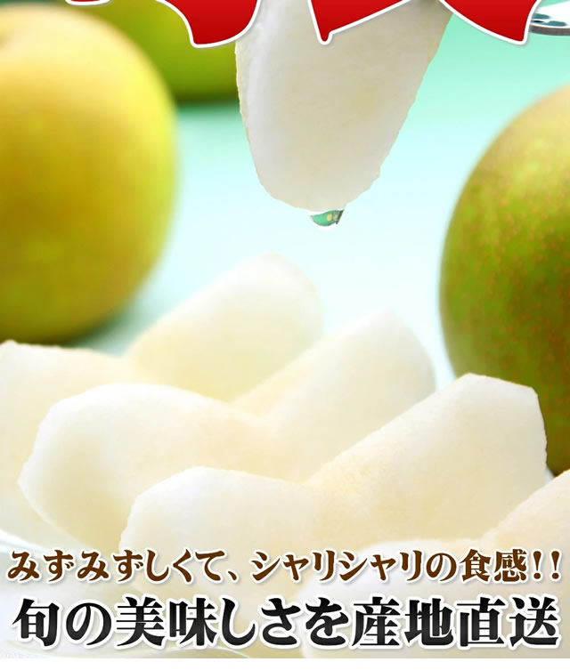 山形県産 刈屋梨(豊水)