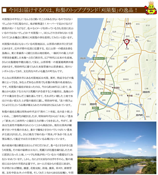 山形県産 刈屋梨(豊水)