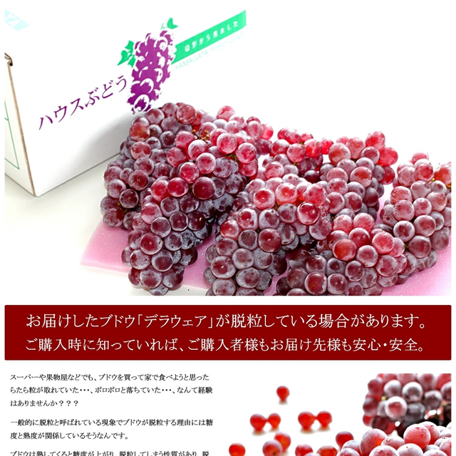 山形県産 ぶどう デラウェア