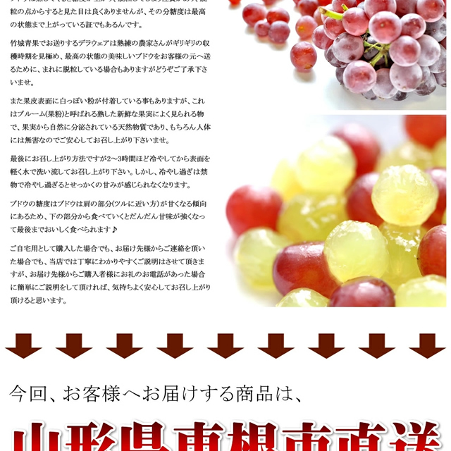 山形県産 ぶどう デラウェア